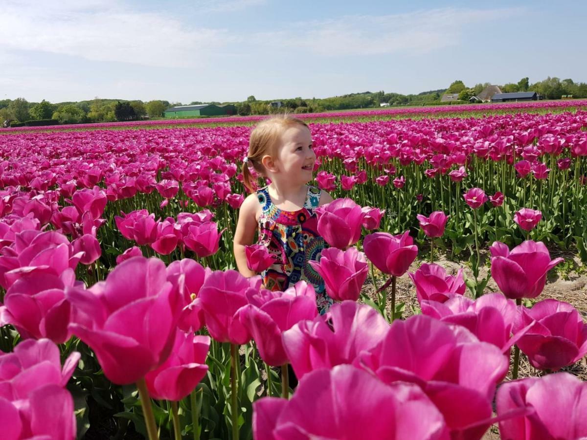 L'Amour Pur Schoorl Ngoại thất bức ảnh