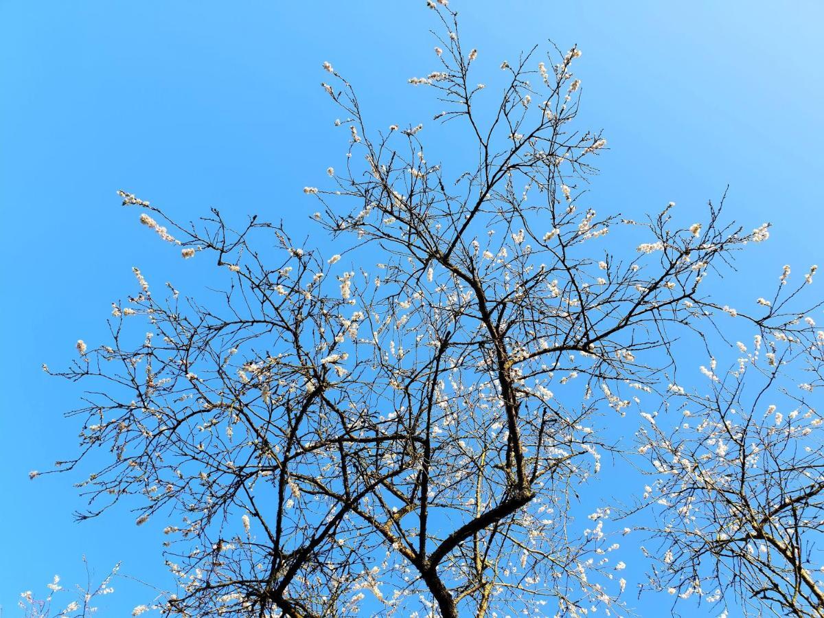 L'Amour Pur Schoorl Ngoại thất bức ảnh